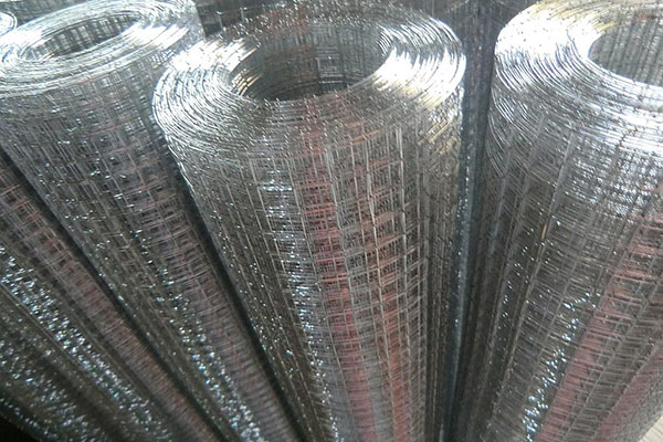 镀锌电焊网图片3