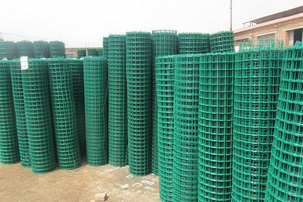 圈地荷兰网图片4